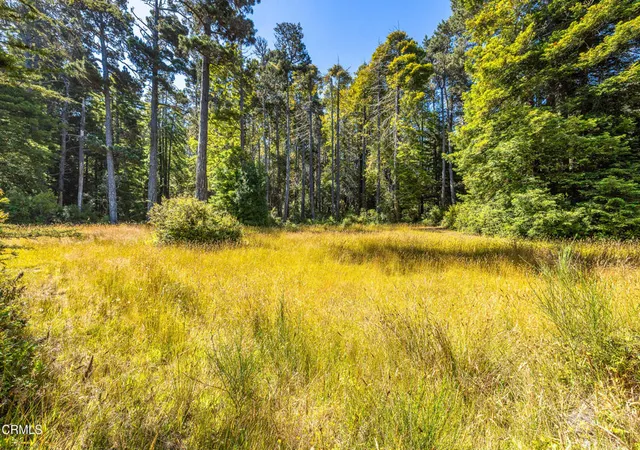 Photo 2 of Land for sale at 32401 Creekside Ln, Fort Bragg, CA 95437 | MLS# C1-11477 | Listing updated on 2026-09-01