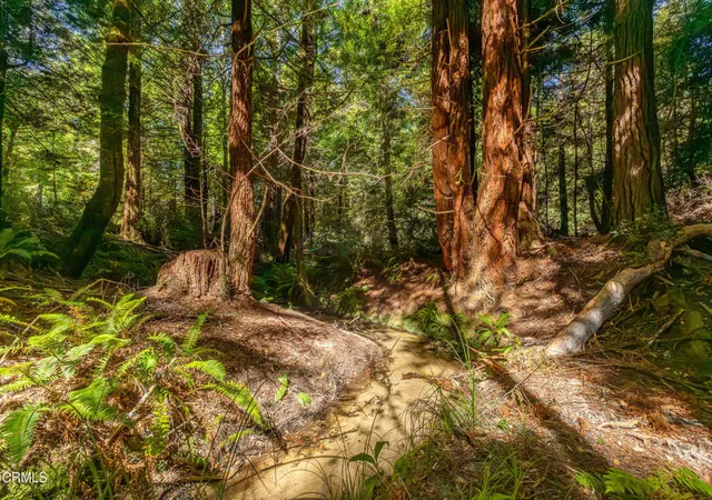 Photo 3 of Land for sale at 32401 Creekside Ln, Fort Bragg, CA 95437 | MLS# C1-11477 | Listing updated on 2026-09-01