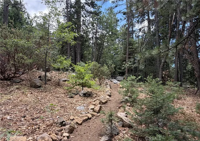 Photo 3 of Land for sale at 6212 Oak Ave, Angelus Oaks, CA 92305 | MLS# IG26166284 | Listing updated on 2026-09-24