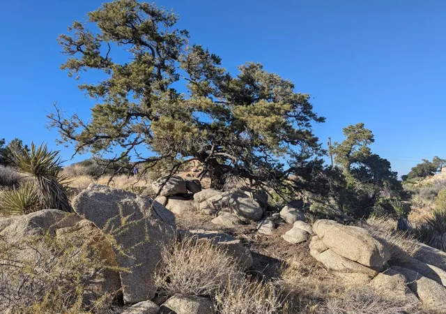 Photo 1 of Land for sale at Lot 84 Mountain Park Rd, Mountain Center, CA 92561 | MLS# 219150889PS | Listing updated on 2026-09-13