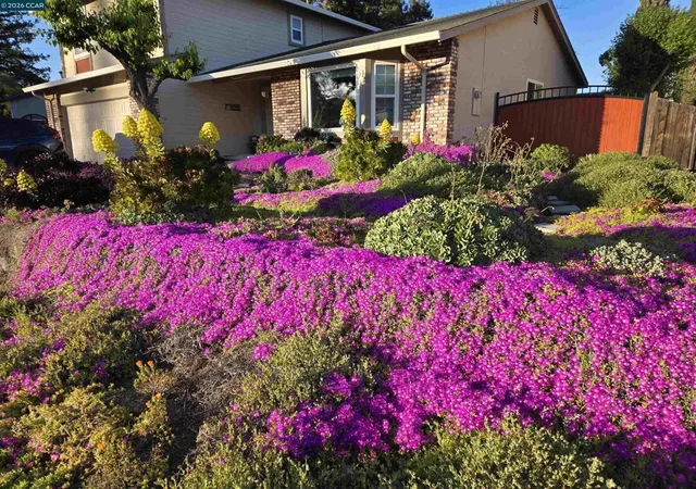 Photo 3 of Single family home for sale at 2504 Silverado Dr, Antioch, CA 94509 | MLS# 41143472 | Listing updated on 2026-10-02