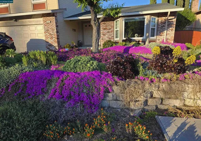 Photo 4 of Single family home for sale at 2504 Silverado Dr, Antioch, CA 94509 | MLS# 41143472 | Listing updated on 2026-10-02