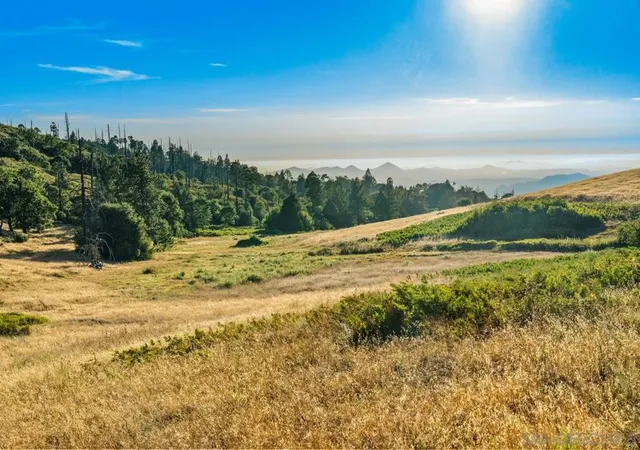 Photo 3 of Single family home for sale at 14684 Highway 79, Julian, CA 92036 | MLS# 260018726SD | Listing updated on 2026-09-04