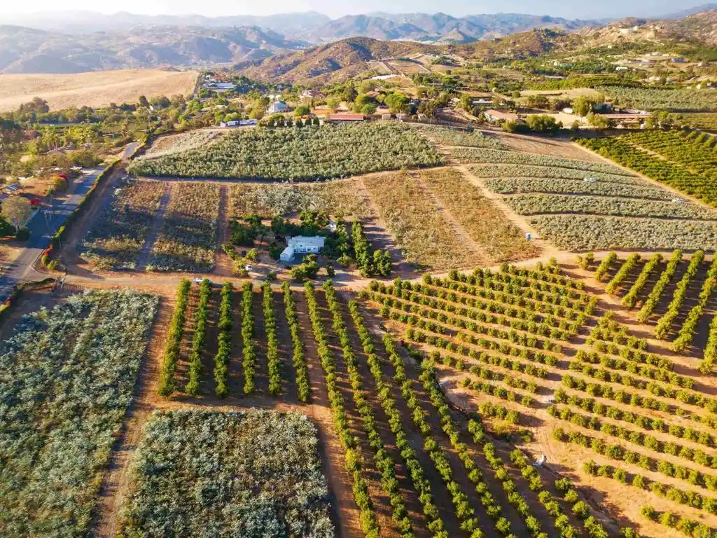 Photo 1 of Land for sale at 31817 Via Ararat Dr, Bonsall, CA 92003 | MLS# NDP2607250 | Listing updated on 2026-08-01
