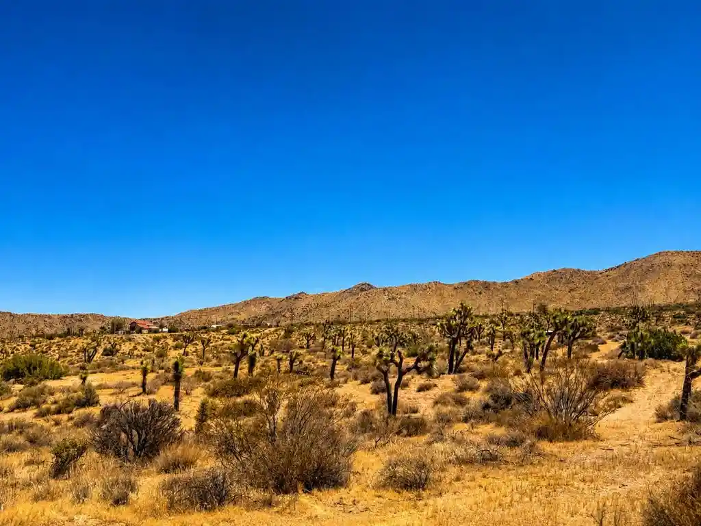 Photo 1 of Land for sale at 58920 Lisbon Dr, Yucca Valley, CA 92284 | MLS# 219150989PS | Listing updated on 2026-08-02