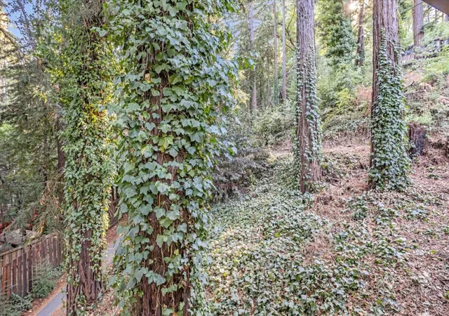 29th image of 1045 Forest Wy, Brookdale, CA 95007 | MLS# ML82056465