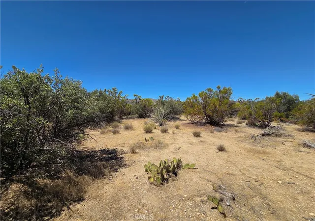 2nd image of 2 Terwilliger, Anza, CA 92539 | MLS# SW26157887