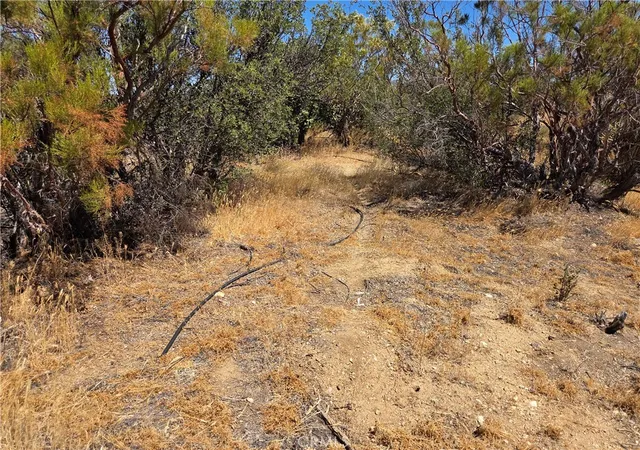 3rd image of 4 Terwilliger, Anza, CA 92539 | MLS# SW26157892