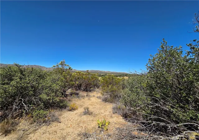 1st image of 1 Terwilliger, Anza, CA 92539 | MLS# SW26157883