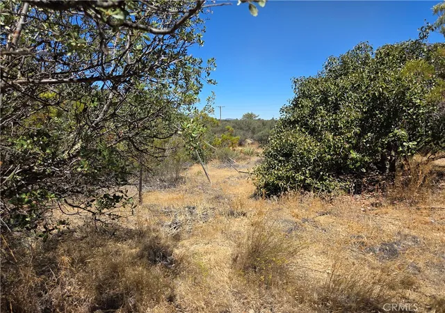 3rd image of 1 Terwilliger, Anza, CA 92539 | MLS# SW26157883
