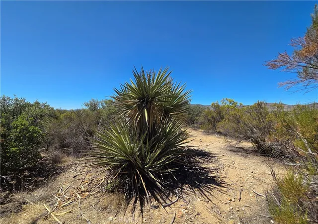 5th image of 1 Terwilliger, Anza, CA 92539 | MLS# SW26157883