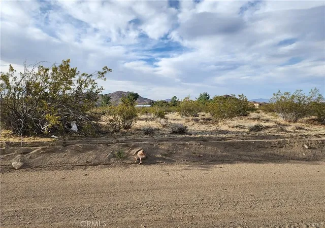 2nd image of 502 Morningside St, Lucerne Valley, CA 92356 | MLS# HD26170591