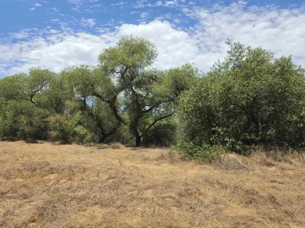 Photo 1 of Sale Pending at 141 Acres Durgin St, Ramona, CA 92065 | MLS# NDP2607342 | Listing updated on 2026-10-27