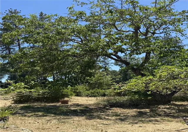 Photo 3 of Land for sale at 925 Wagstaff Rd, Paradise, CA 95969 | MLS# PA26172946 | Listing updated on 2026-09-22