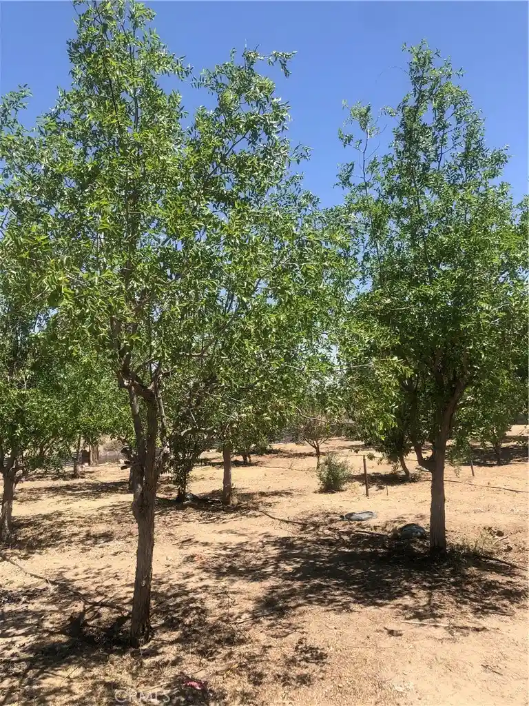 Photo 1 of Land for sale at 32726 Agate Rd, Lucerne Valley, CA 92356 | MLS# HD26173965 | Listing updated on 2026-08-10