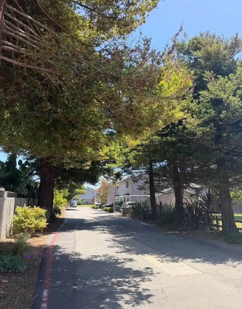 Listing Photo 2 - Condo for sale in 3925 Bramble Ln located at 3925 Bramble Ln, Santa Cruz, CA 95060 - Unit 3925 Bramble Ln