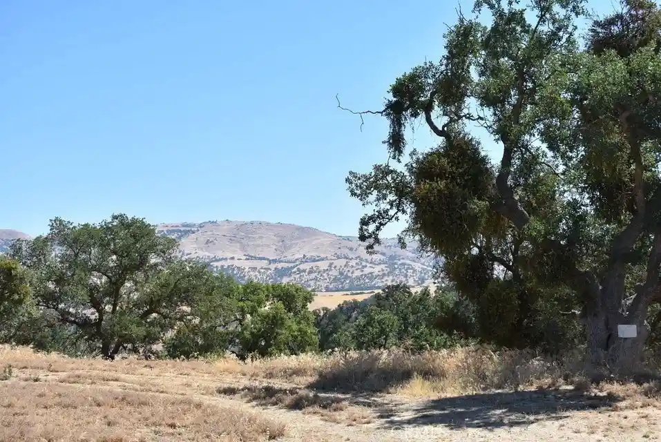 Photo 1 of Land for sale at 22948 Rim, Tehachapi, CA 93561 | MLS# SR26175909 | Listing updated on 2026-08-12