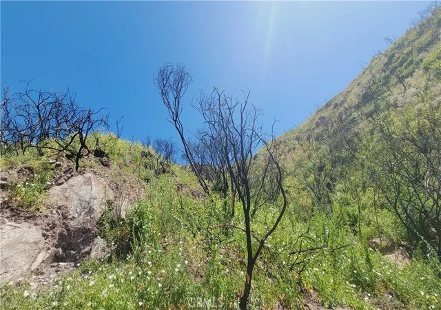 Photo 3 of Land for sale at 0 Piuma Rd, Malibu, CA 90265 | MLS# CV26178168 | Listing updated on 2026-09-13