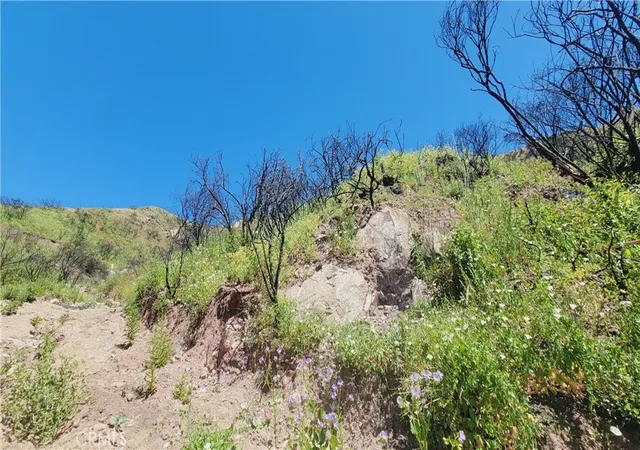Photo 3 of Land for sale at 0 Piuma Rd, Malibu, CA 90265 | MLS# CV26178168 | Listing updated on 2026-09-13