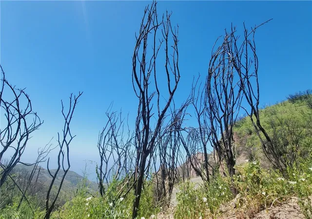 Photo 4 of Land for sale at 0 Piuma Rd, Malibu, CA 90265 | MLS# CV26178168 | Listing updated on 2026-09-13