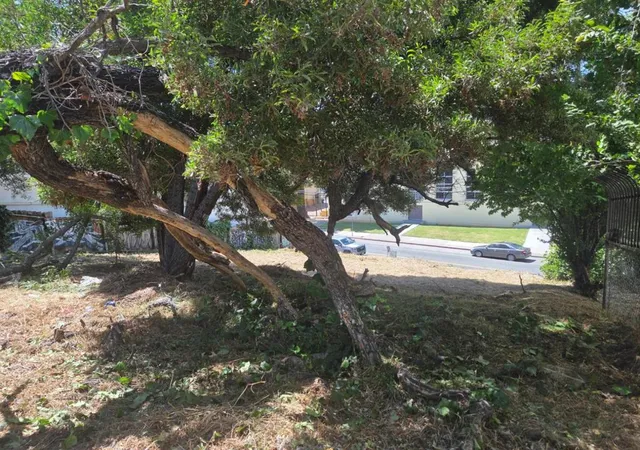 Photo 2 of Land for sale at 2120 35th Avenue, Oakland, CA 94601 | MLS# ML82057717 | Listing updated on 2026-09-08