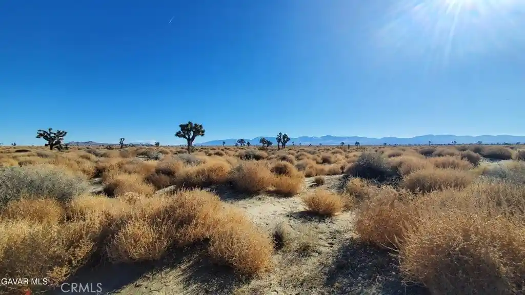 Photo 1 of Land for sale at 0 Vicinity Ave L2 & 77th E, Palmdale, CA 93535 | MLS# SR26178409 | Listing updated on 2026-08-22