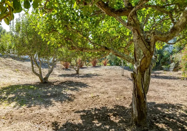 Photo 49 of Single family home for sale at 780 Lagunita Dr, Soquel, CA 95073 | MLS# ML82057832 | Listing updated on 2026-09-25