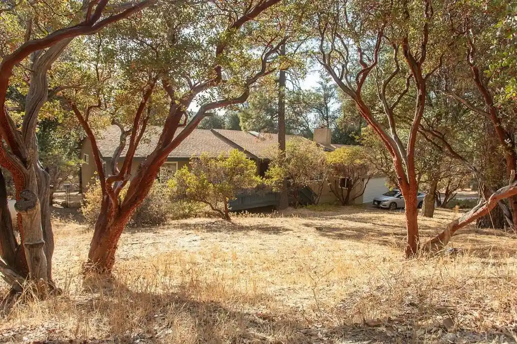 Photo 1 of Single family home for sale at 8076 Pine Blvd, Pine Valley, CA 91962 | MLS# 260020203SD | Listing updated on 2026-10-20