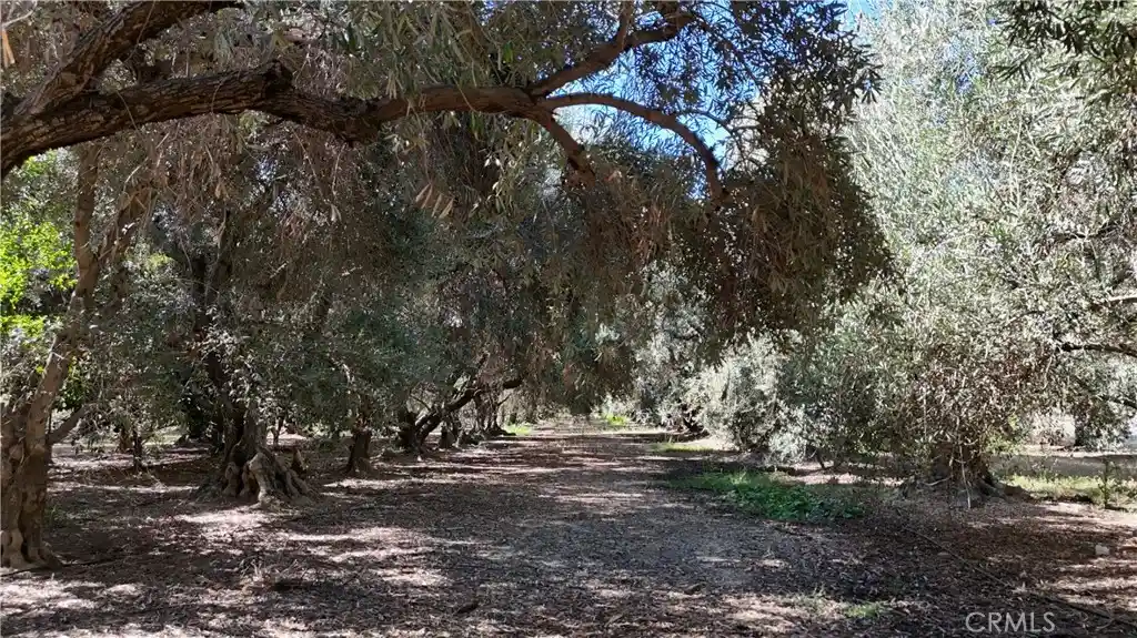 Photo 1 of Sale Pending at 23265 Viola Ave, Corning, CA 96021 | MLS# SN26179040 | Listing updated on 2026-10-29