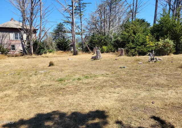 Photo 3 of Land for sale at 19800 Highway 1, Manchester, CA 95459 | MLS# C1-11498 | Listing updated on 2026-09-13