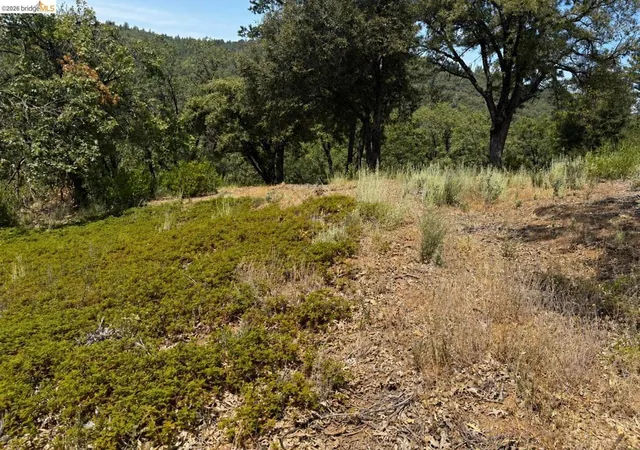 Photo 3 of Land for sale at 1440 Utica Powerhouse Rd, Murphys, CA 95247 | MLS# 41145858 | Listing updated on 2026-10-01