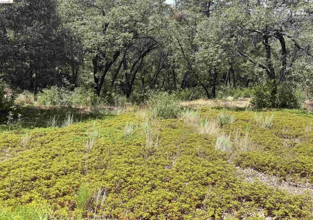 Photo 4 of Land for sale at 1440 Utica Powerhouse Rd, Murphys, CA 95247 | MLS# 41145858 | Listing updated on 2026-10-01