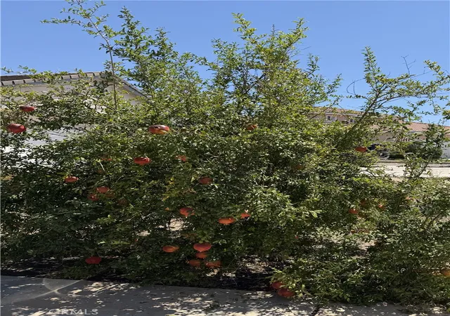 Photo 4 of Single family home for sale at 24937 Butterchurn Rd, Wildomar, CA 92595 | MLS# SW26184618 | Listing updated on 2026-10-09