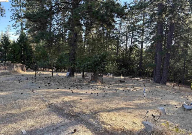 Photo 2 of Land for sale at 10162 Holtzel Road, Coulterville, CA 95311 | MLS# 41146099 | Listing updated on 2026-09-01