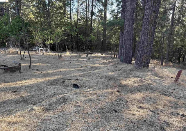 Photo 3 of Land for sale at 10162 Holtzel Road, Coulterville, CA 95311 | MLS# 41146099 | Listing updated on 2026-09-01