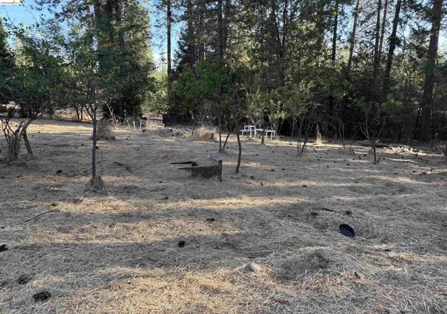 Photo 3 of Land for sale at 10162 Holtzel Road, Coulterville, CA 95311 | MLS# 41146099 | Listing updated on 2026-09-01