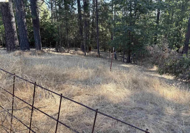 Photo 4 of Land for sale at 10162 Holtzel Road, Coulterville, CA 95311 | MLS# 41146099 | Listing updated on 2026-09-01