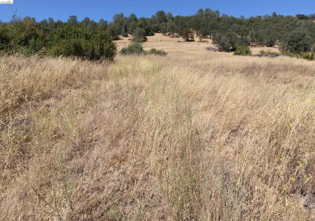 Photo 3 of Land for sale at 781 Gelding, Angels Camp, CA 95222 | MLS# 41146254 | Listing updated on 2026-09-02