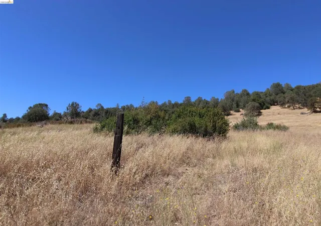 Photo 3 of Land for sale at 781 Gelding, Angels Camp, CA 95222 | MLS# 41146254 | Listing updated on 2026-09-02