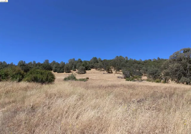 Photo 4 of Land for sale at 781 Gelding, Angels Camp, CA 95222 | MLS# 41146254 | Listing updated on 2026-09-02