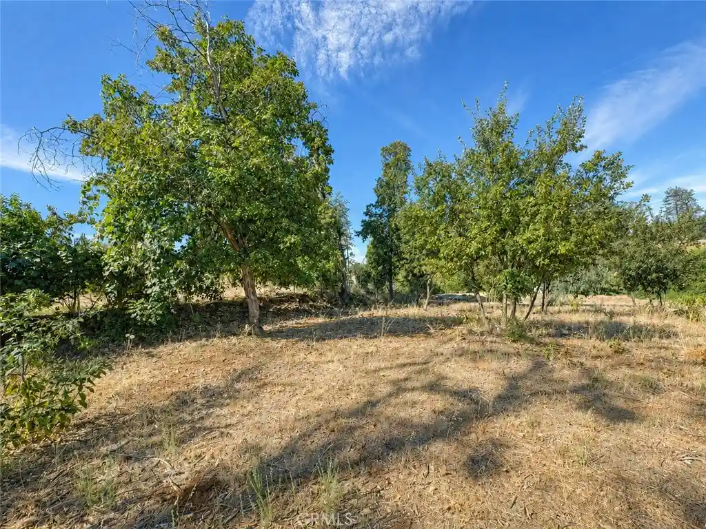 Land for sale at 5465 Foster, Paradise, CA 95969 | MLS# SN26187081
