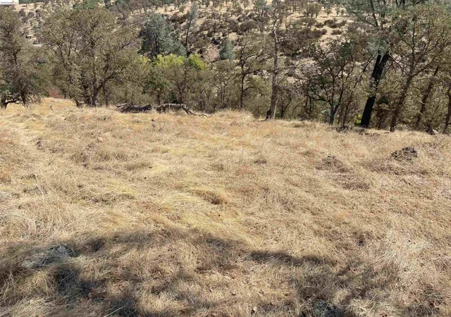 Photo 3 of Land for sale at 6647 Cane Lane, Valley Springs, CA 95252 | MLS# 41146337 | Listing updated on 2026-09-03