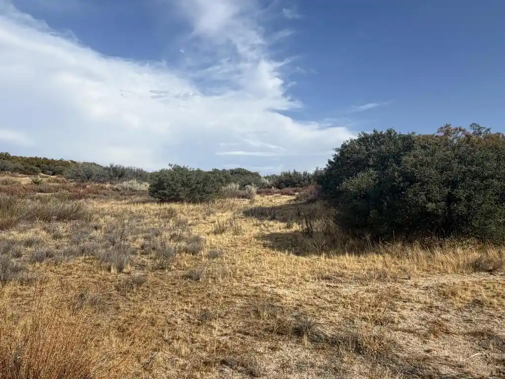 Photo 1 of Land for sale at 0 Kgkj Ranch Rd, Anza, CA 92539 | MLS# 219151916DA | Listing updated on 2026-08-28