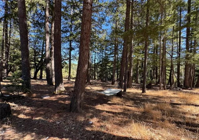 Photo 3 of Manufactured home for sale at 4501 Lakewood Dr, Willits, CA 95490 | MLS# LC26188135 | Listing updated on 2026-09-13