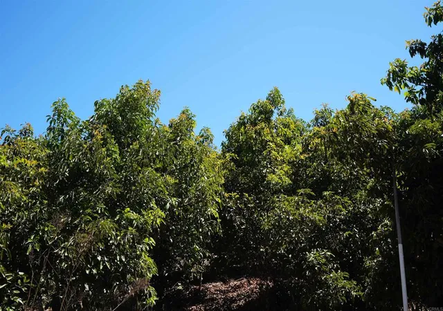 Land for sale at 1152 Tarek, Vista, CA 92084 | MLS# NDP2608108