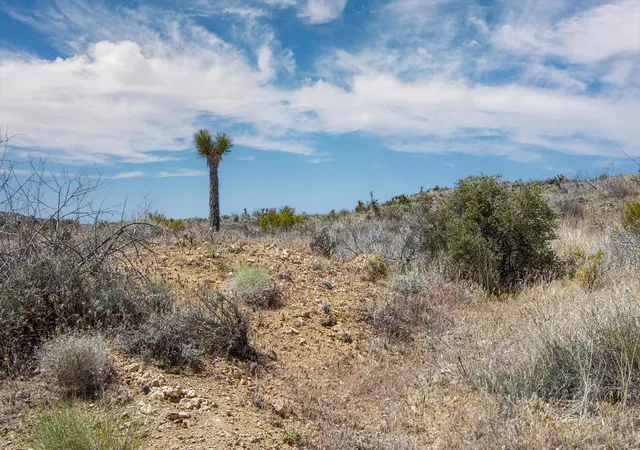 Photo 2 of Land for sale at 58365 Cereus Ave, Yucca Valley, CA 92284 | MLS# 219152041PS | Listing updated on 2026-08-31