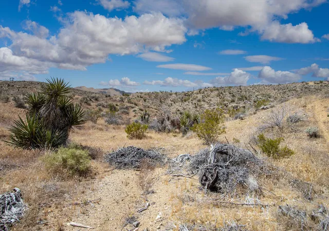 Photo 4 of Land for sale at 58365 Cereus Ave, Yucca Valley, CA 92284 | MLS# 219152041PS | Listing updated on 2026-08-31