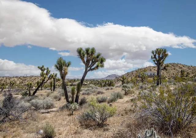 Photo 3 of Land for sale at 57823 Hilton Ln, Yucca Valley, CA 92284 | MLS# 219152042PS | Listing updated on 2026-08-31