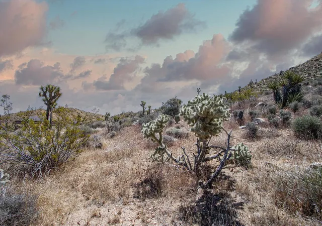 Photo 4 of Land for sale at 57823 Hilton Ln, Yucca Valley, CA 92284 | MLS# 219152042PS | Listing updated on 2026-08-31