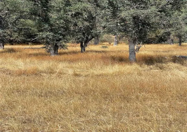 Photo 2 of Land for sale at Bull Crk Rd 2s05, Coulterville, CA 95311 | MLS# 20231233 | Listing updated on 2026-09-23
